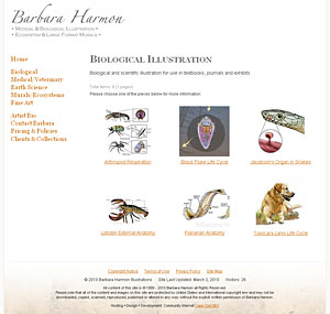 Harmon Illustrations