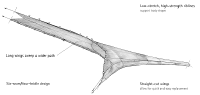 an open net