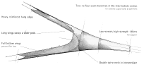 a trawl net