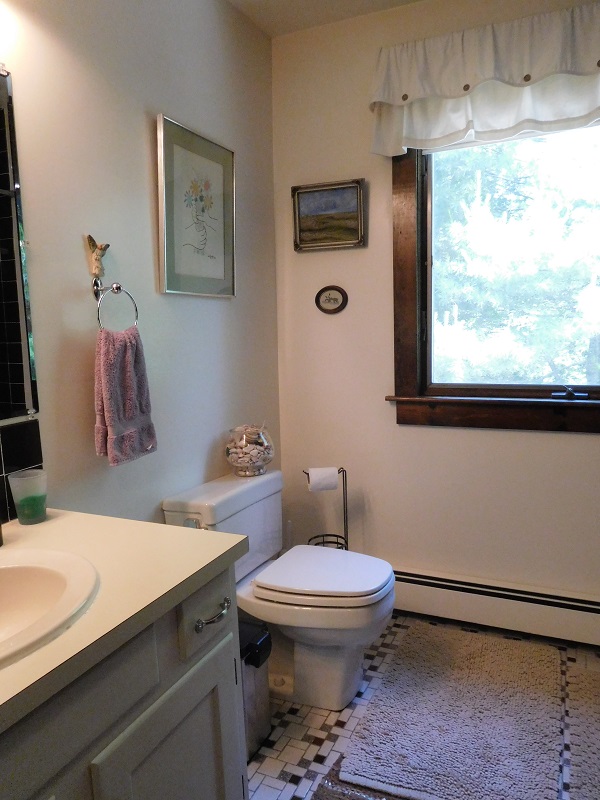 DCTAL Skull Halloween Rose Snake Sticker Punk Death Decal